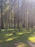 tabor_2023_07_08_04.jpg